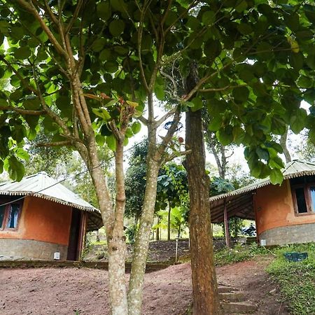 Punarjani Ayurvedic Resorts Ramakkalmedu Zewnętrze zdjęcie