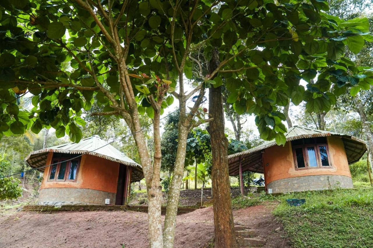 Punarjani Ayurvedic Resorts Ramakkalmedu Zewnętrze zdjęcie