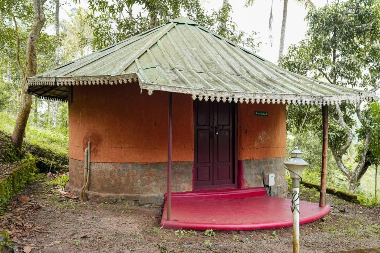 Punarjani Ayurvedic Resorts Ramakkalmedu Zewnętrze zdjęcie