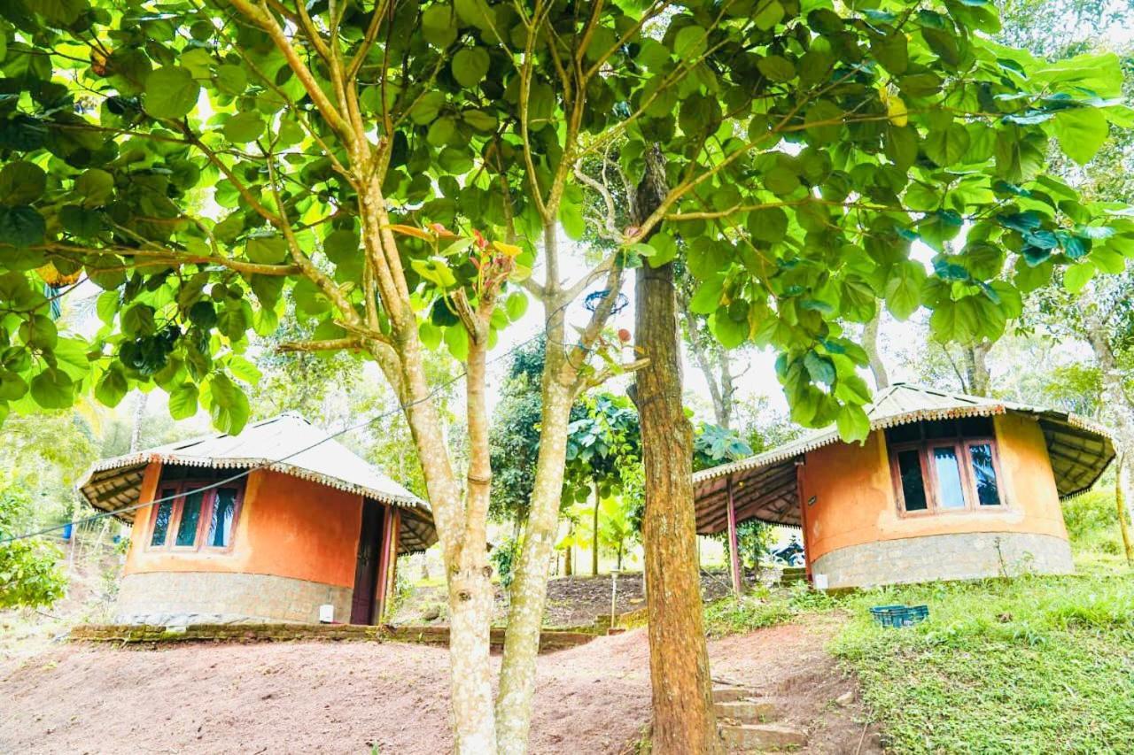 Punarjani Ayurvedic Resorts Ramakkalmedu Zewnętrze zdjęcie