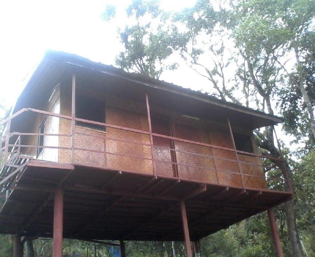 Punarjani Ayurvedic Resorts Ramakkalmedu Zewnętrze zdjęcie