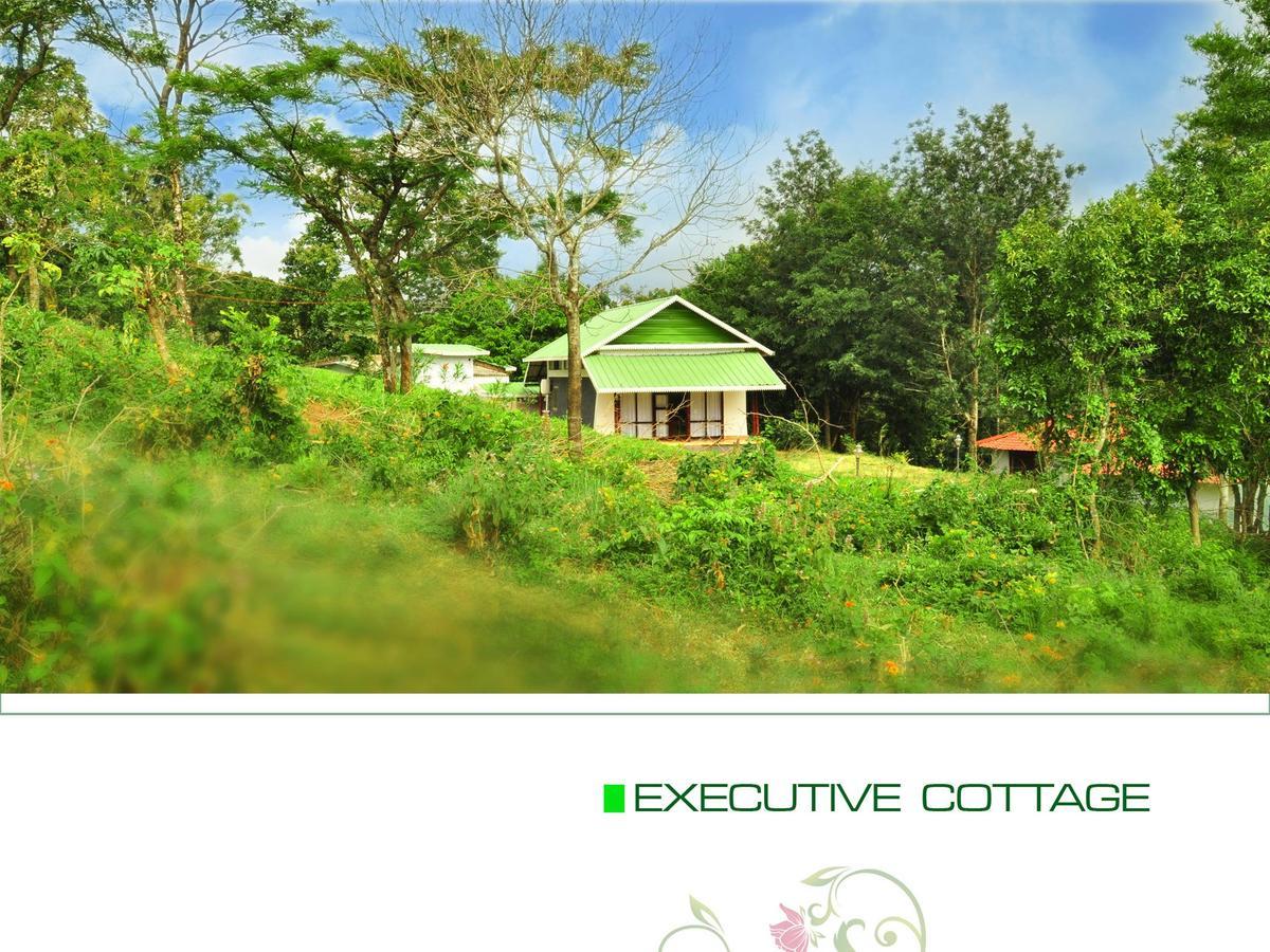 Punarjani Ayurvedic Resorts Ramakkalmedu Zewnętrze zdjęcie